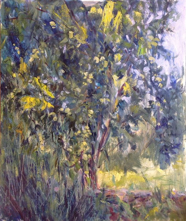 Arbol