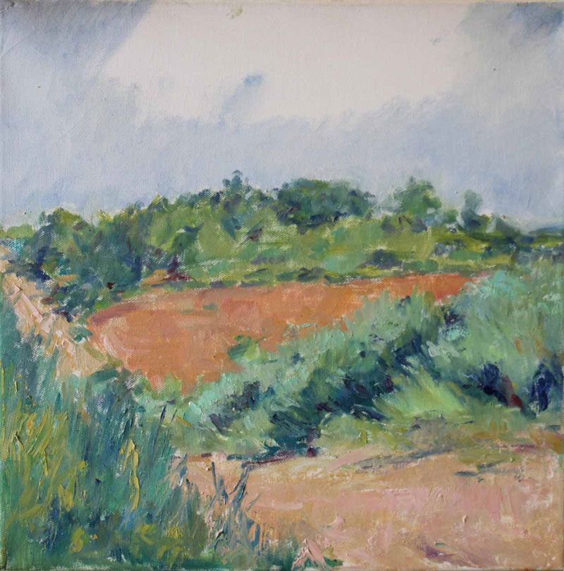 Camino sejas de aliste