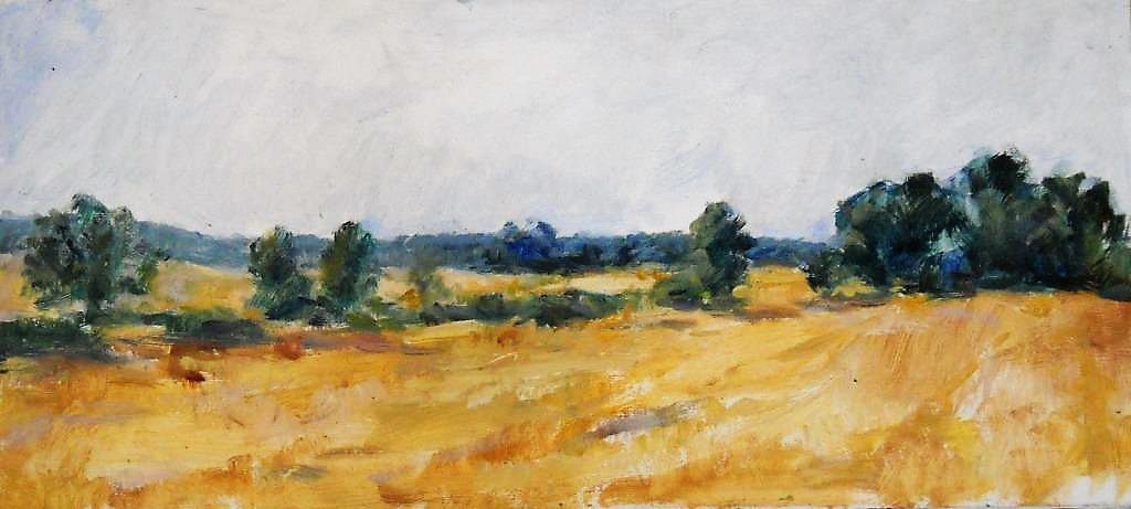 Campo aliste 1