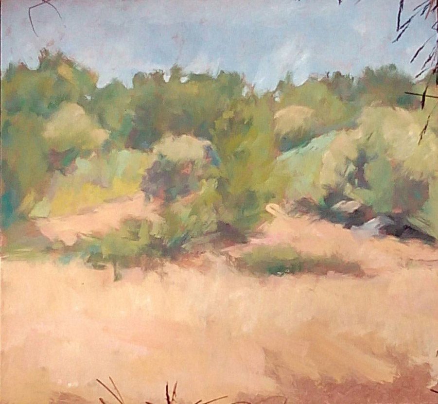 Campo aliste 2