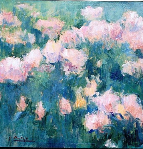 Flores 3