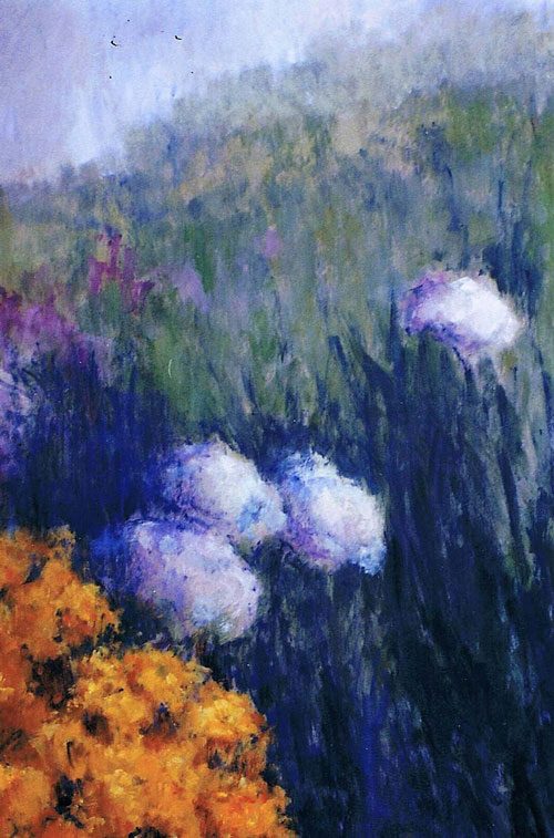 Flores