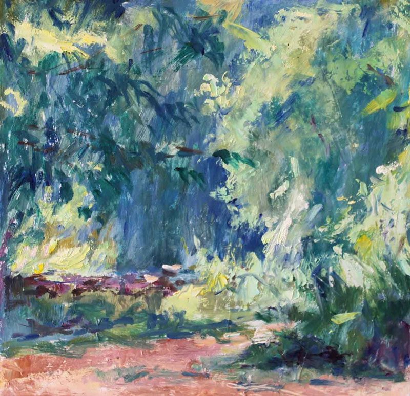 Rio zamora
